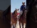 Carreras de caballos. Carreras de caballos. Caballos de carreras. #usa   #viral   #challenge