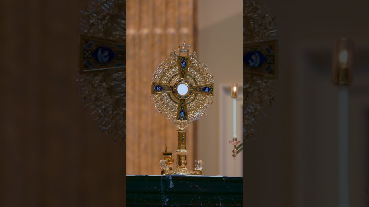 🙏Benediction and the Blessed Sacrament 🙏 #eucharist #eucharisticmiracles