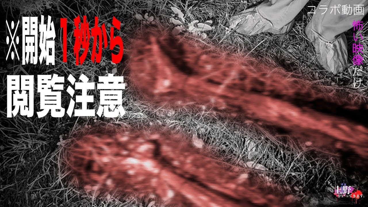 怖い映像だけ コラボ動画