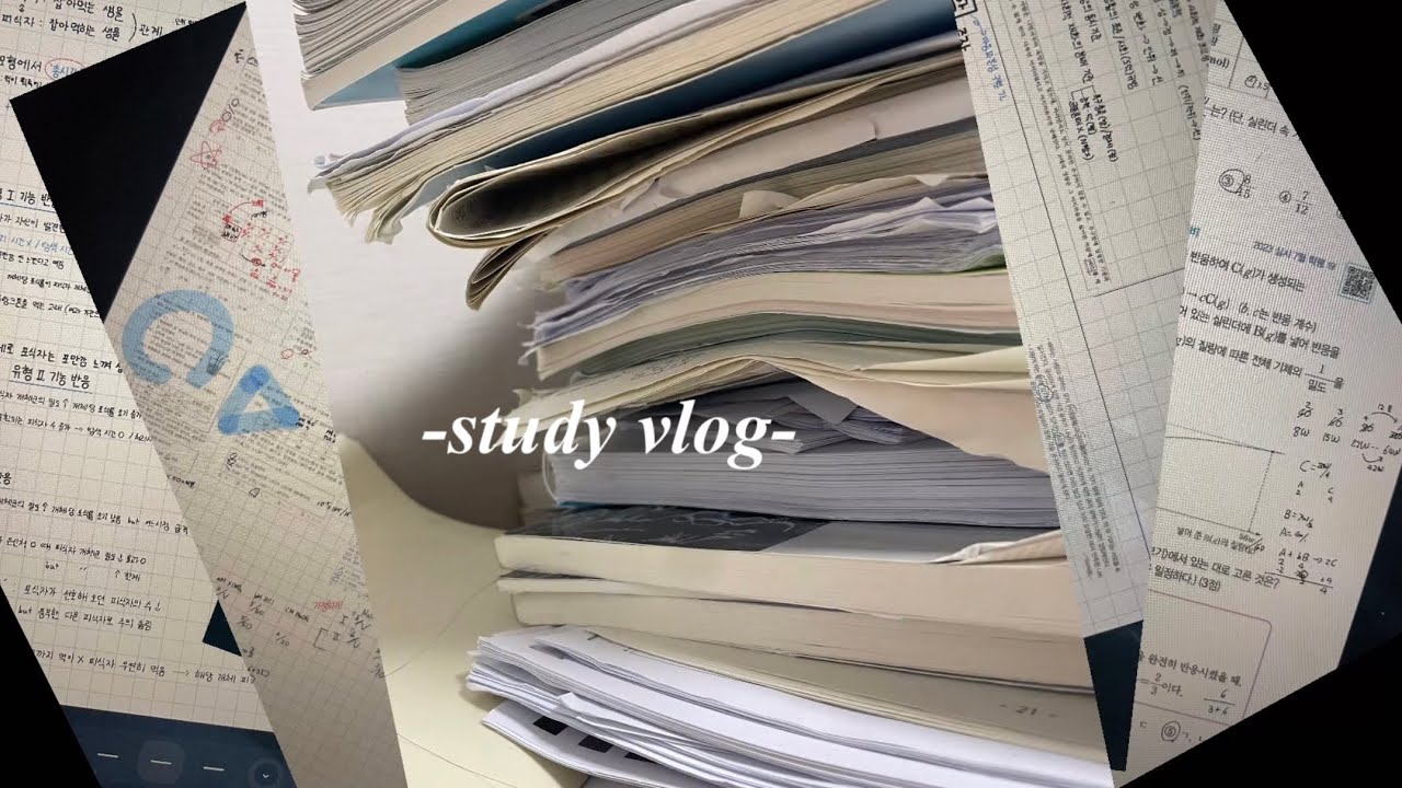 예비고3의발버둥..