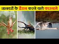 जानवरों के ये कारनामें देखकर आप दंग रह जाएंगे | Most Amazing Moments of Animals Caught on Camera