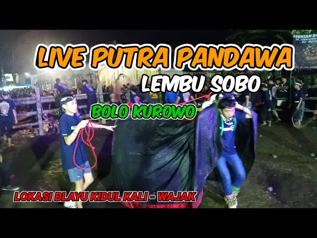 Live PUTRA PANDAWA DAN 4 GRUP‼️LOKASI BLAYU KIDUL KALI - WAJAK ❗ class=