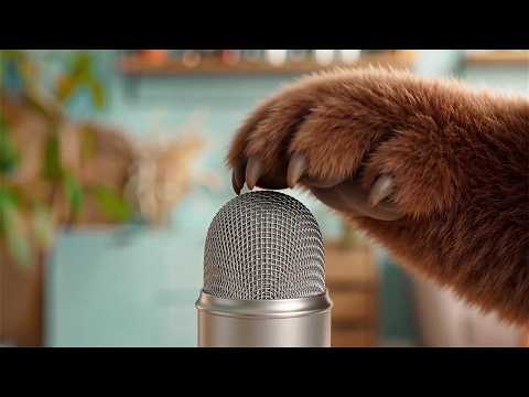 [Teaser] 크아아앙..! GRRR…🐾  #asmr #animalasmr