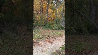 Smith & Wesson M&P Shield .45