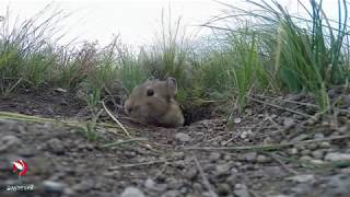 Осенние хлопоты Осенние хлопоты