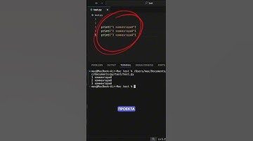 Как одной строкой отключить все print() в Python. Python трюк: полная тишина в консоли
