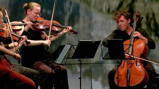 Celebrity Robert Schumann, String Quartet No.1 Op. 41, Animato Quartet Wealth
