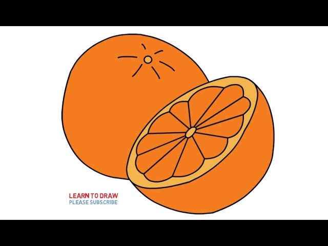 Easy Drawing Fruits and Veggies for Kids - Basic