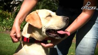 How To Fit a ROGZ Side Release Collar