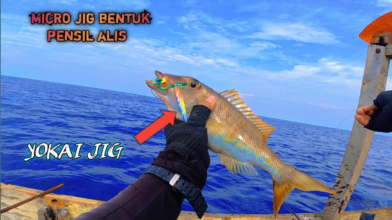 MICRO JIG 20 GR PALING EFEKTIF JIKA ARUS LAUT KEADAAN MATI #YOKAIJIG