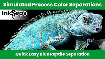 simulated Process Color Separation Lizard