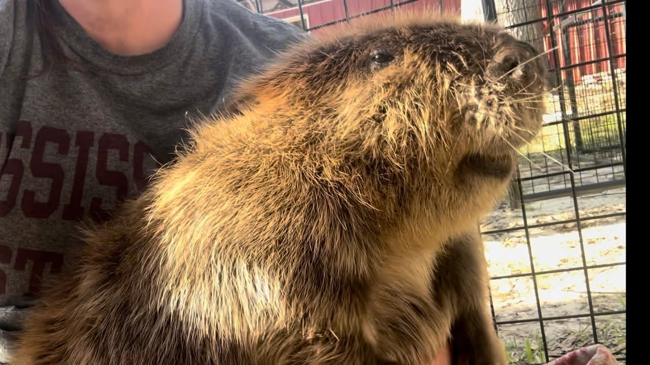 Somebody is turning 2!