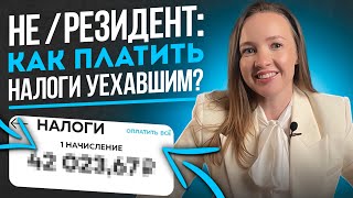 Налоговые НЕрезиденты | кто это такие?