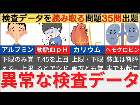 これで国試安心まとめセット これで国試安心まとめセット 3,4年生向け】国試まで使えるセット