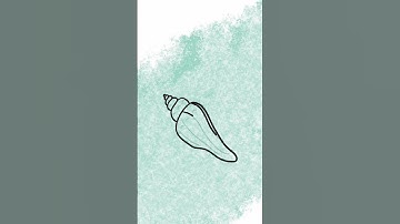 Seashell Drawing Timelapse #shorts