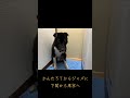 かんたろうからジャズに、下関から東京へ#つむじ風遊園地#センターレスキュー