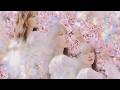 2026 봄 노래 플레이리스트 벚꽃이 흩날리는 봄날의 추억 벚꽃 엔딩 봄눈 자꾸만 웃게 돼 광고없음 