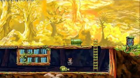 Braid SilverBraid 3-1 Underground