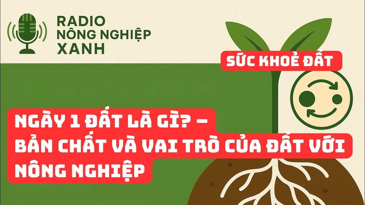 Sức khoẻ đất - Ngày 1: Đất là gì? – Bản chất và vai trò của đất với nông nghiệp