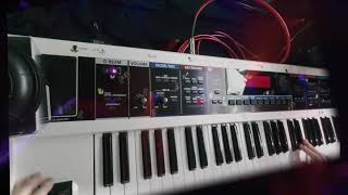 「Emotions」- Galneryus【Keyboard Solo Cover】