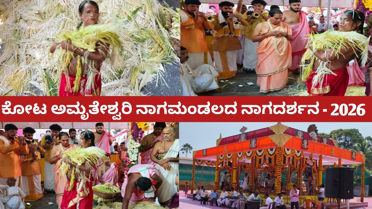 30,000ಕ್ಕೂ ಅಧಿಕ ಭಕ್ತಾದಿಗಳು | ಮಹಾ ಅನ್ನಸಂತರ್ಪಣೆ | ನಾಗಮಂಡಲದ ನಾಗದರ್ಶನ | ಕೋಟ ಅಮೃತೇಶ್ವರಿ ನಾಗಮಂಡಲದ ವಿಶೇಷ  