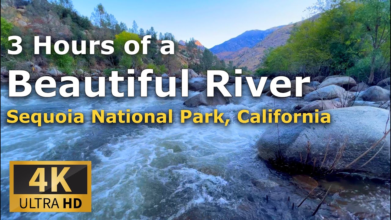 Beautiful River in Sequoia National Park - YouTube