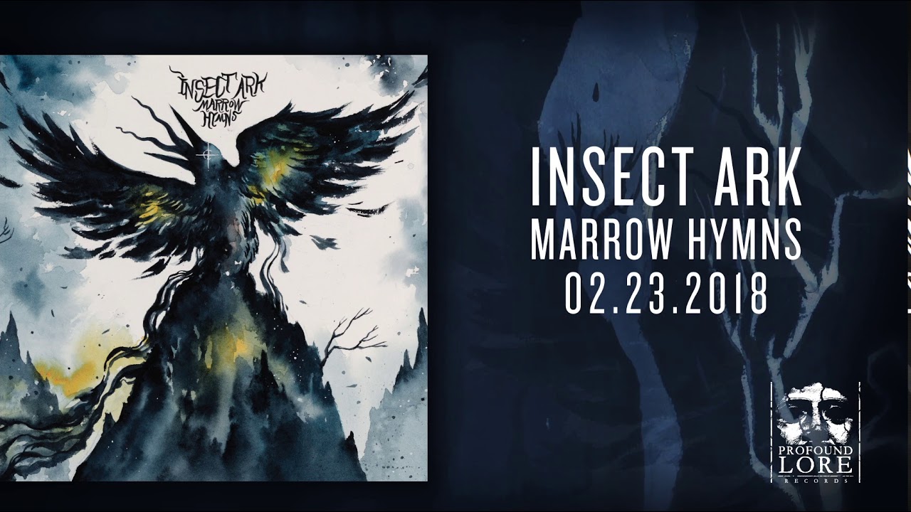 INSECT ARK - Sea Harps (official audio)