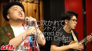 エレファントカシマシ】風に吹かれてcovered by HIPPY, Daichi ひぴ動
