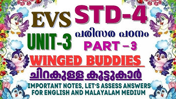 STD-4/ EVS- പരിസര പഠനം/ UNIT-3/ WINGED BUDDIES- ചിറകുള്ള കൂട്ടുകാർ/ PART 3#science#evs#notes#class4 