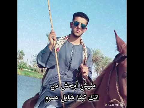 رائد عادل الاسيوطي 