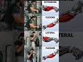 Forearm Training Explained | Best Exercises For Every Forearm Muscle 💪🏻💥 #shorts