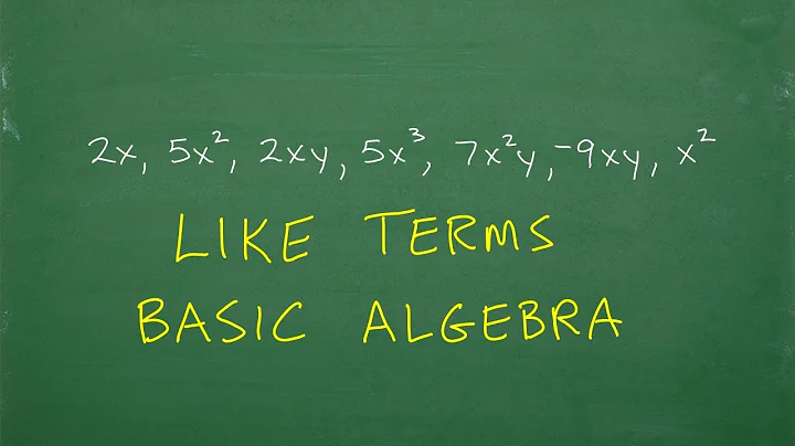 Like Terms- Basic Algebra MINI Lesson