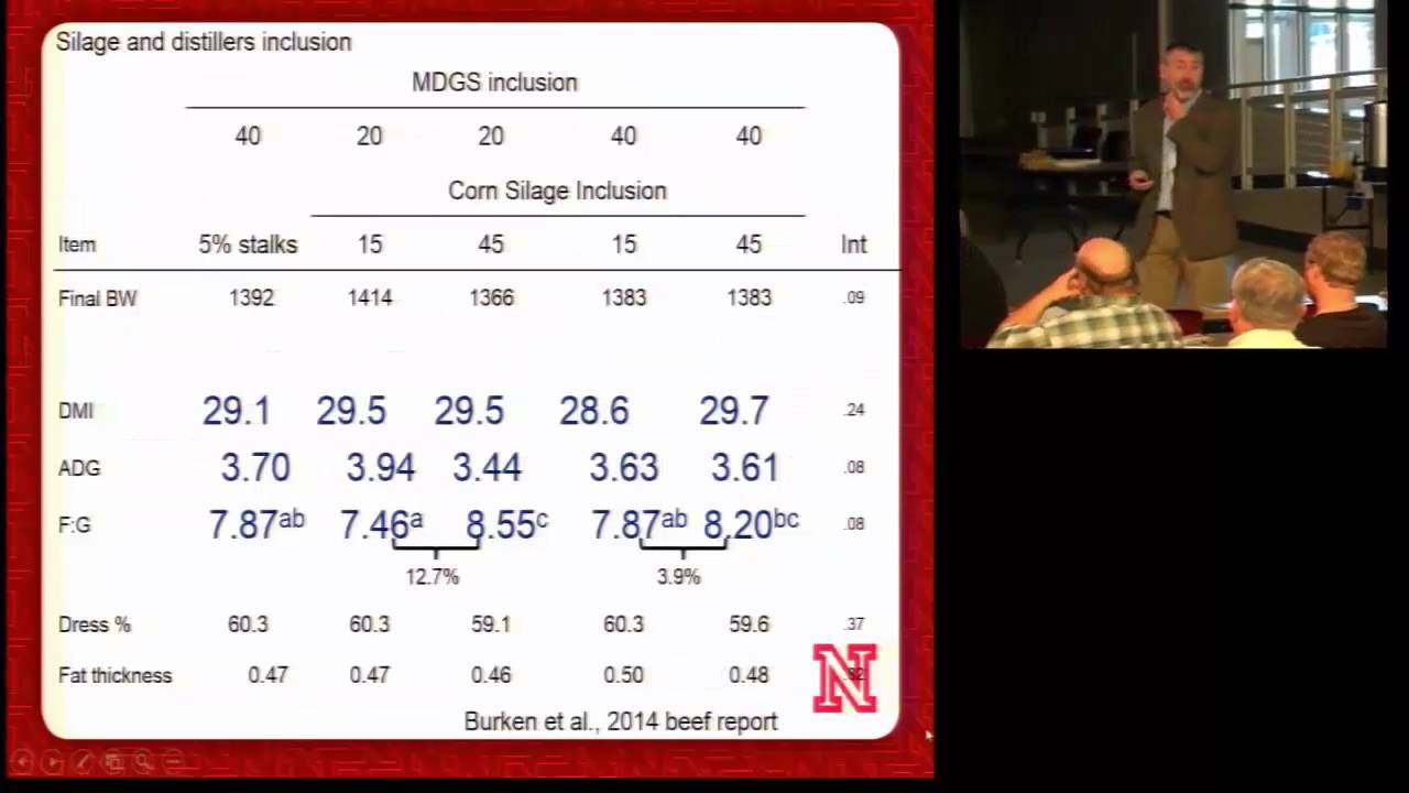 Feeding programs that include corn silage for finishing cattle, Silage ...