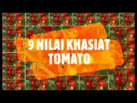 Video: Apa Tomato Terbaik