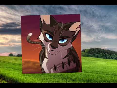 моё мнение по книге Долгое Эхо (всех с праздником ♥️)