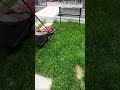 The process of mowing the lawn using advanced machinery #shorts