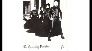The Smashing Pumpkins - Arising Tour (Welcome back Jimmy) bootleg. Detroit 1999