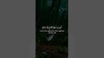 وإذا سألك عبادي عني - القارئ عمير شميم