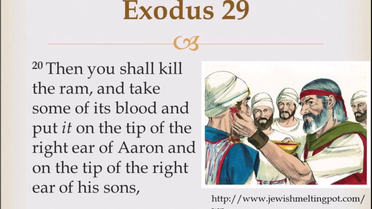 Ear, Thumb, Toe, And The Anointing Blood Of Yeshua / Jesus - Youtube