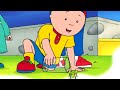 Caillou S Cricket Caillou Cartoon Caillou S Cricket Caillou Cartoon