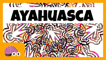 É perigoso tomar ayahuasca?