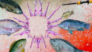 【反則釣り】釣りバリ１００本で大量の魚を釣る方法