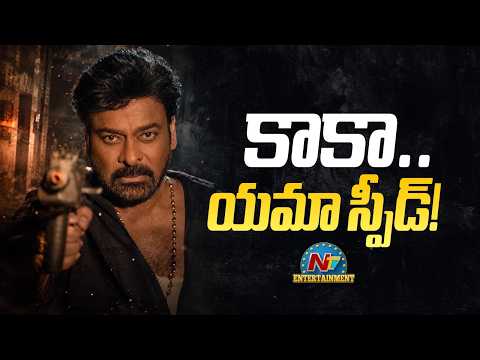 #KAAKA Movie Shooting Update ? | Chiranjeevi | Bobby | Thaman S | NTV ENT