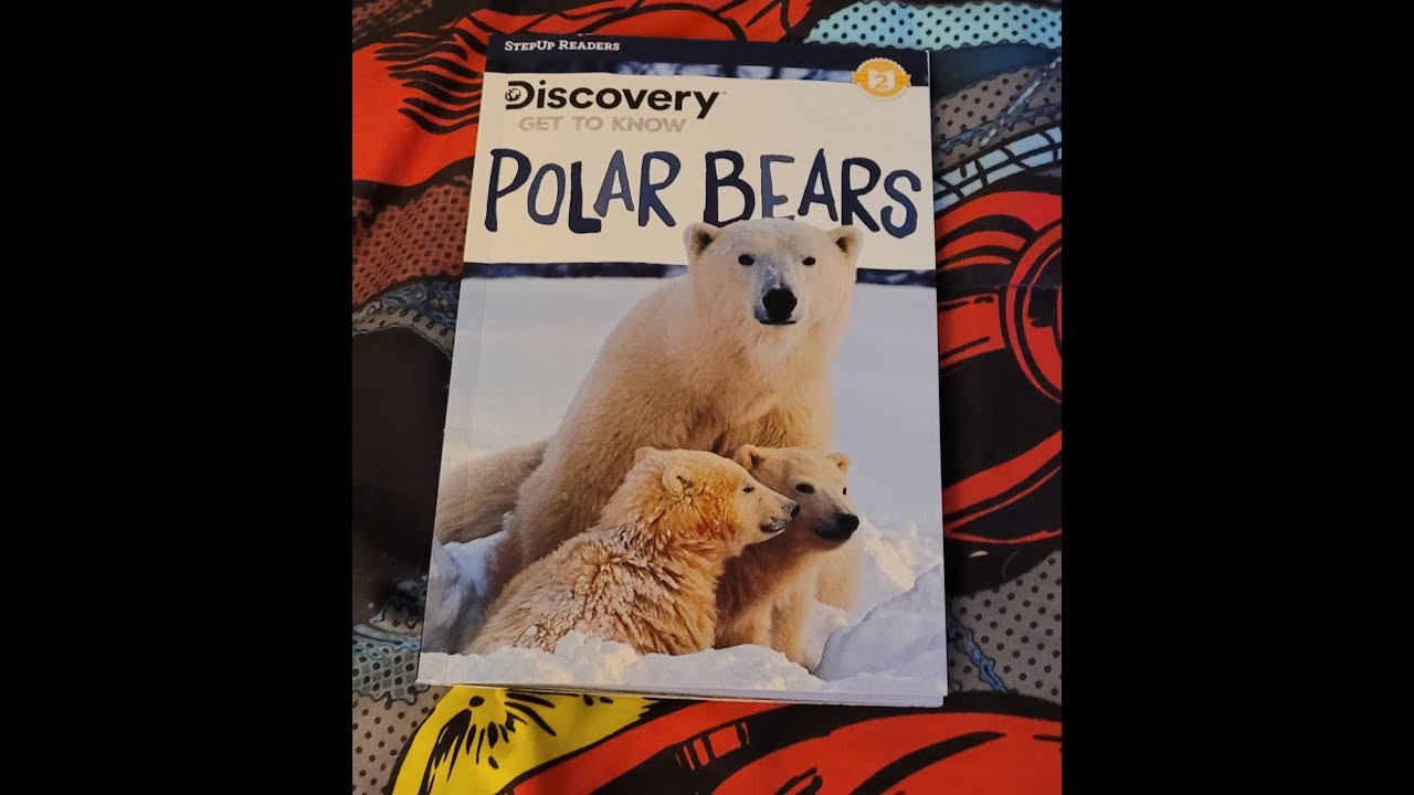 Программа Discovery: знакомство с белыми медведями, 2024 год.