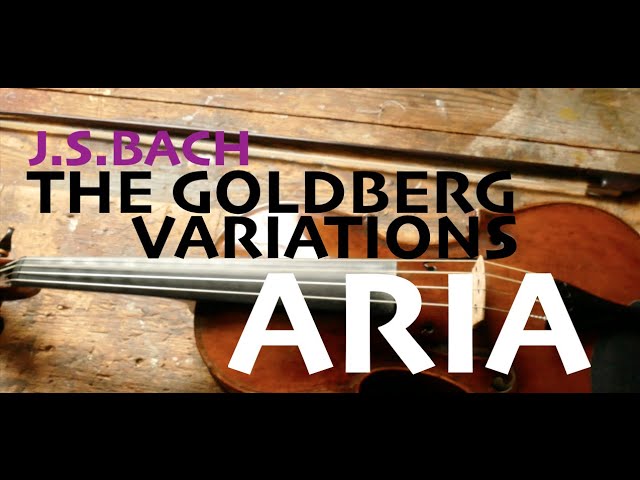 J.S. BACH THE GOLDBERG VARIATIONS BWV 988 - ARIA | Jorge Jiménez, baroque violin - YouTube