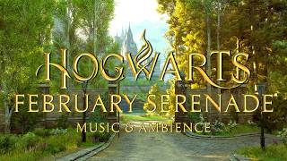 Hogwarts Legacy -  February Serenade at Hogwarts - Calming & Peaceful Harry Potter Music & Ambience screenshot 5