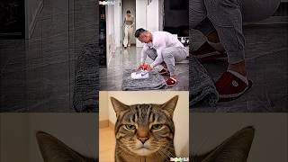 Download Lagu What is the weight? MP3