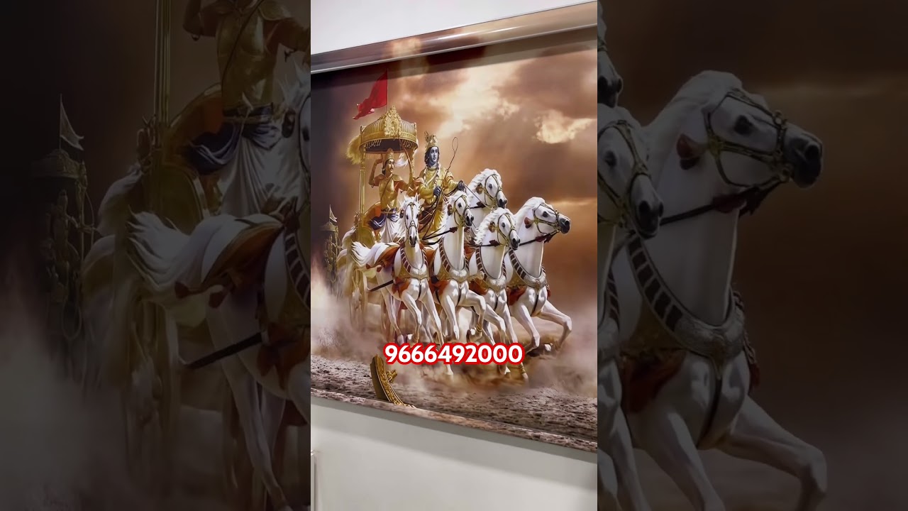 Customise Blinds all types of lines available, zebra roller, Roman customised 96666￼492000