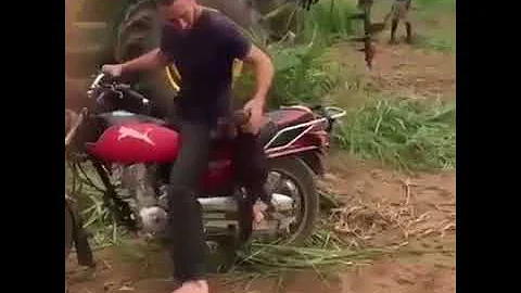 Monkey Riding Bike