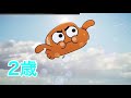 【おかしなガムボール】ダーウィンの歴史